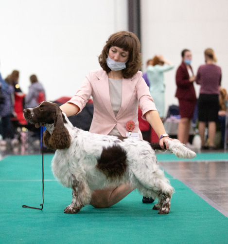 194947-3a200-120446353-m549x500-uc13b7.j