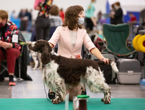 194947-52bf1-120446332-m549x500-u6dd54.j