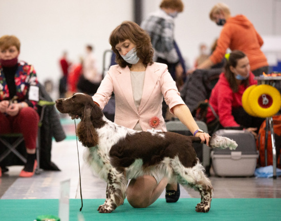 194947-594c4-120446346-m549x500-u61f94.j