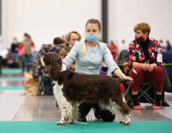 194947-6072b-120446344-m549x500-uf38ee.j