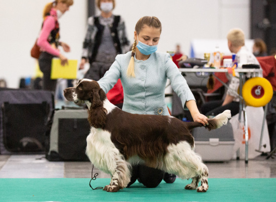 194947-69d91-120446350-m549x500-uc4397.j