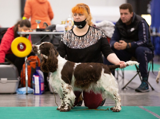 194947-7c56f-120446345-m549x500-u42155.j