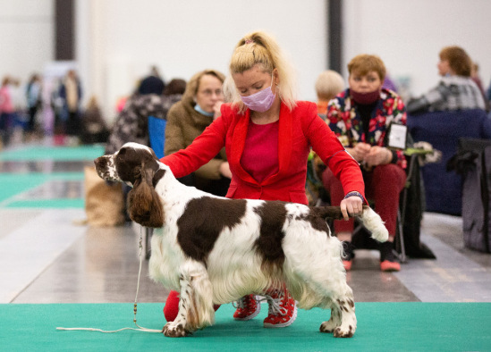 194947-7e3c0-120446336-m549x500-ueb149.j