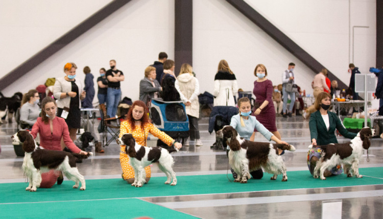 194947-96145-120446364-m750x740-uc2cae.j