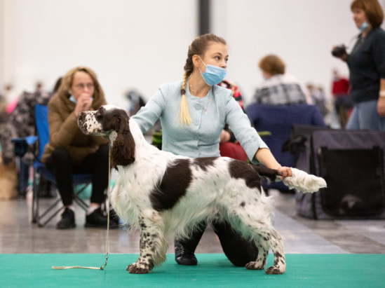 194947-dd1ac-120446341-m549x500-ua6aa5.j