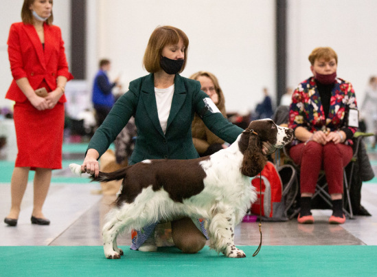 194947-eaad1-120446351-m549x500-ua74f5.j